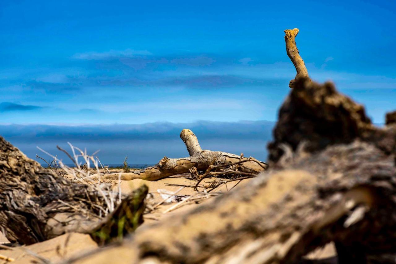 Shipwreck Lodge Mowebaai Екстер'єр фото